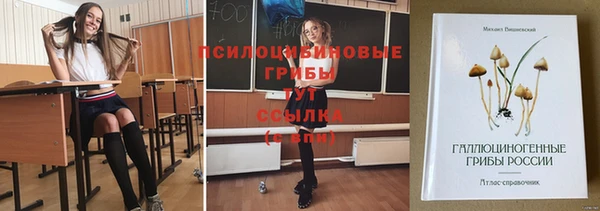 ГАЛЛЮЦИНОГЕННЫЕ ГРИБЫ Бугульма