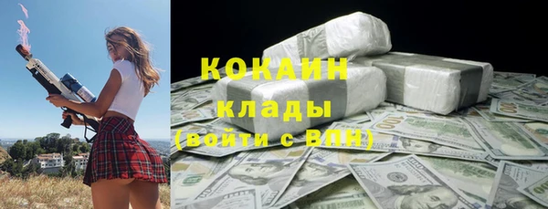 PSILOCYBIN Семёнов