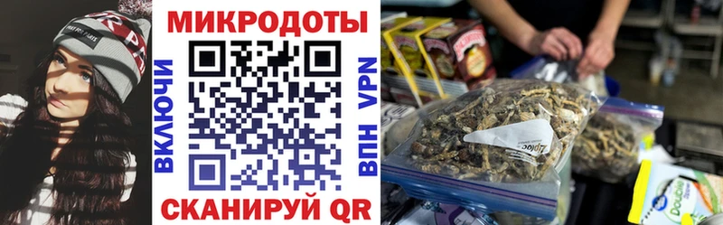 где можно купить наркотик  Кирсанов  Галлюциногенные грибы прущие грибы 